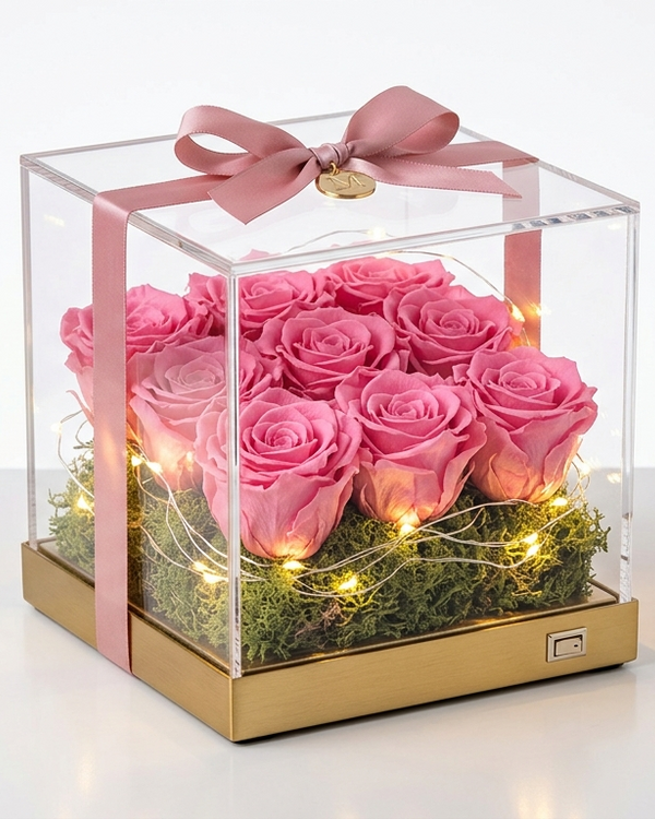 AuraBloom Rose Light Box
