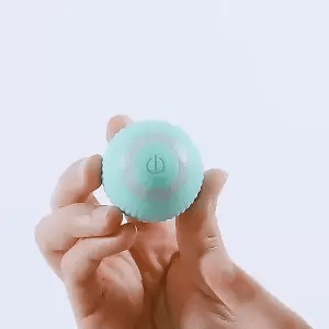 Smart Cat Ball Toy